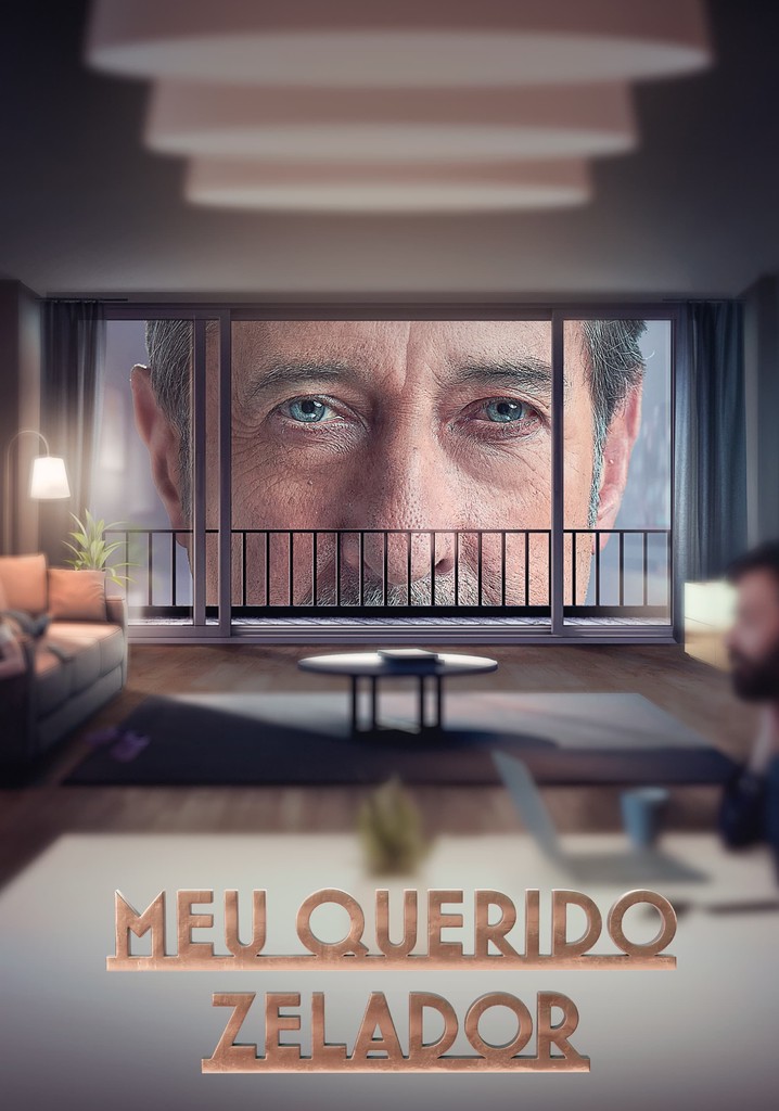 Assistir Meu Querido Zelador ver séries online